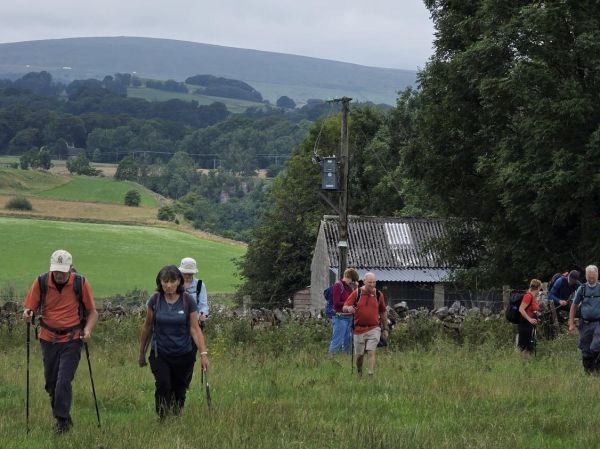 Walkers in fields